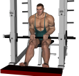 Calf Raise - Smith Machine Single Seated
